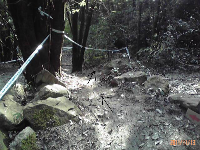 b0222530_201101.jpg