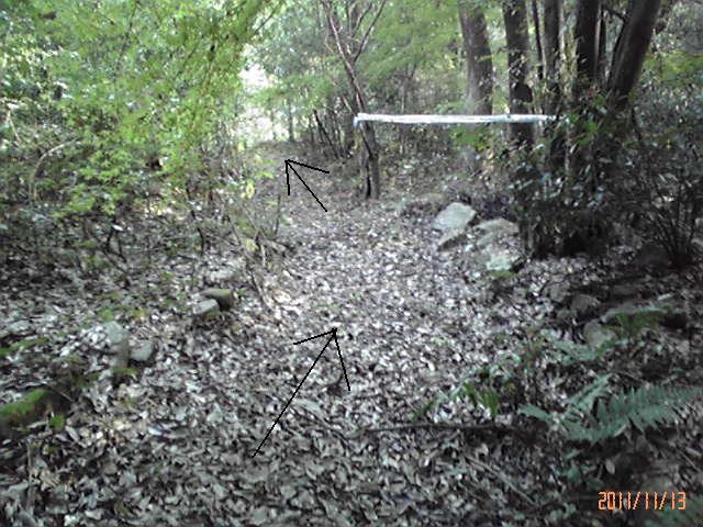b0222530_20114041.jpg