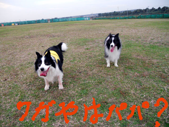 d0059230_21314330.jpg