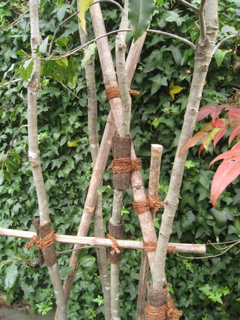c0134734_2341243.jpg