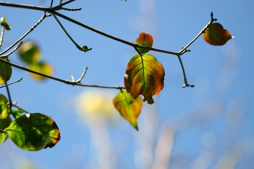 c0134734_23421070.jpg