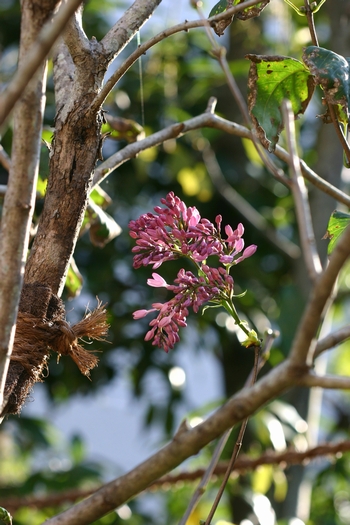 c0134734_2342283.jpg