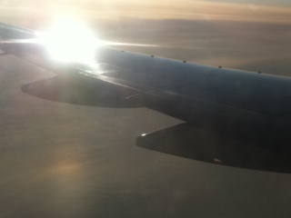 b0190542_15334473.jpg