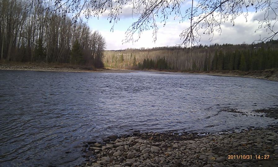 f0084544_1684387.jpg