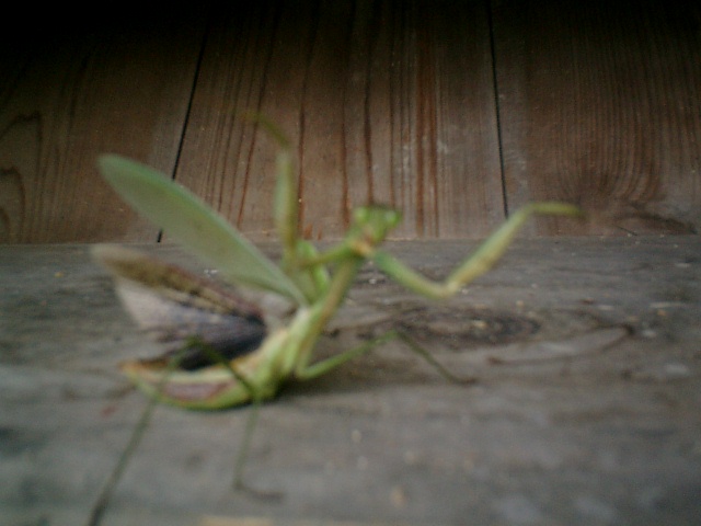 b0132746_1871852.jpg