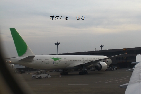 a0090451_112970.jpg