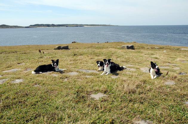 f0213553_1138508.jpg