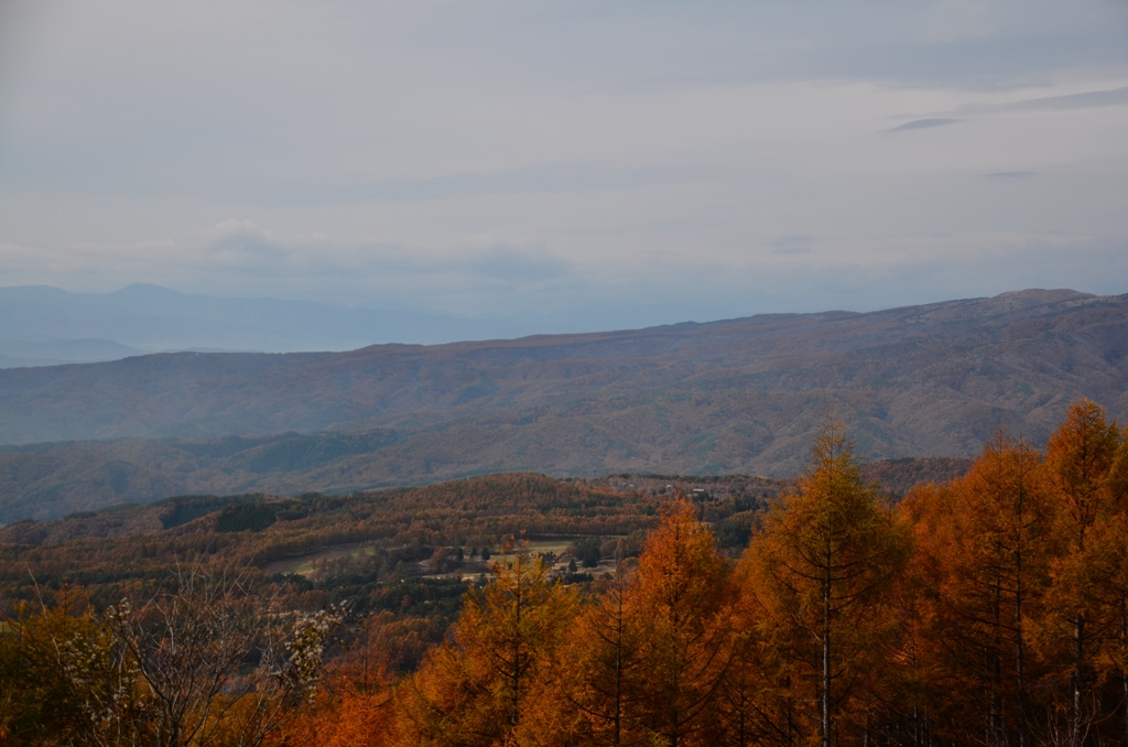e0223456_8561441.jpg