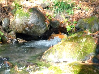 f0034156_23403314.jpg