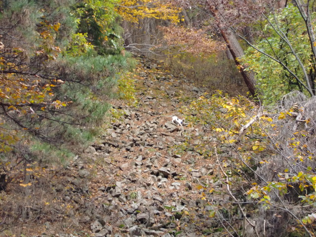 c0140260_034354.jpg
