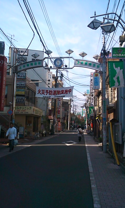 d0158464_2039199.jpg