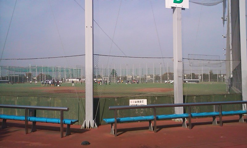 d0158464_2040436.jpg