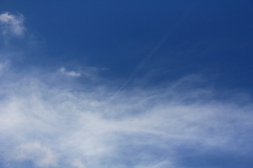 b0194867_16544476.jpg