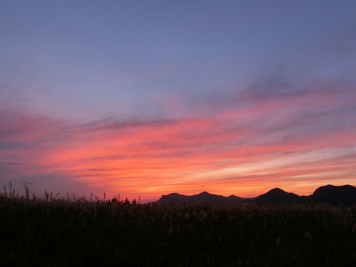 c0171468_002638.jpg