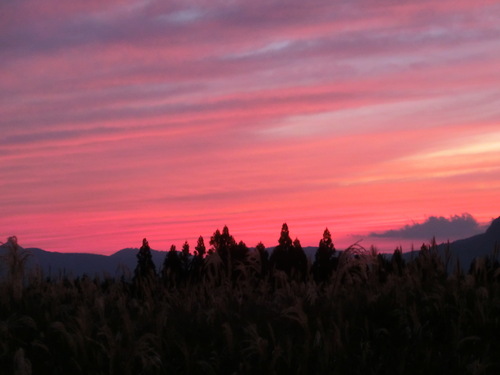 c0171468_04842.jpg
