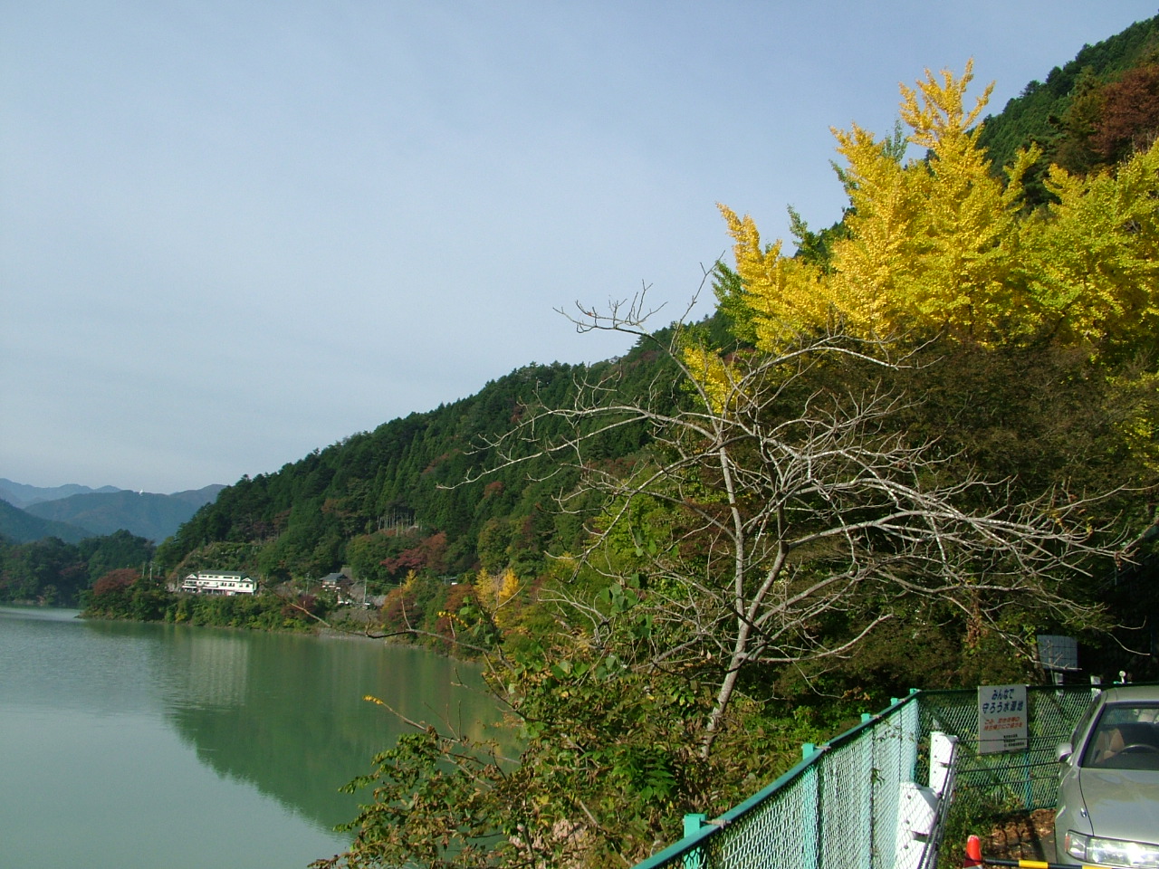 b0141970_1164639.jpg