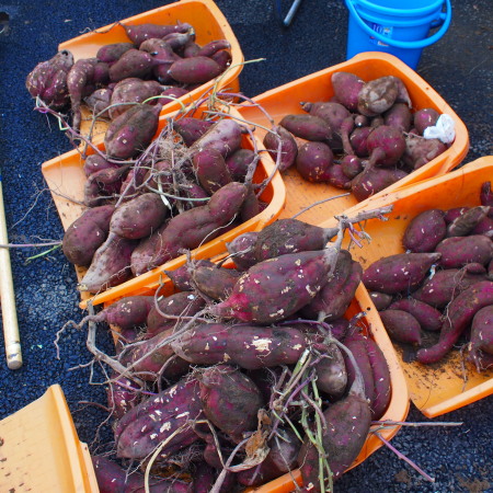 c0122670_1834360.jpg