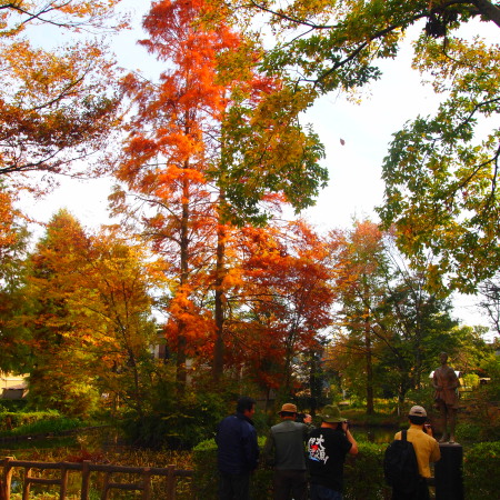 c0122670_18384722.jpg