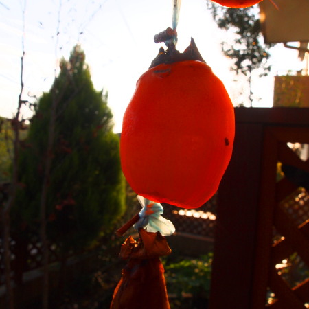 c0122670_1840478.jpg