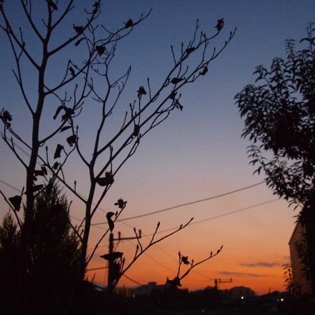 c0122670_18411087.jpg