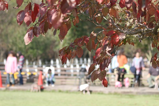 e0062371_2213522.jpg