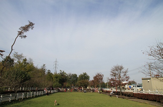 e0062371_2245220.jpg