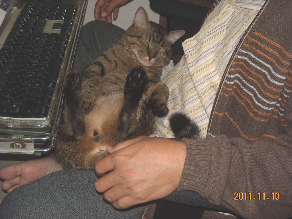 e0031572_10142269.jpg