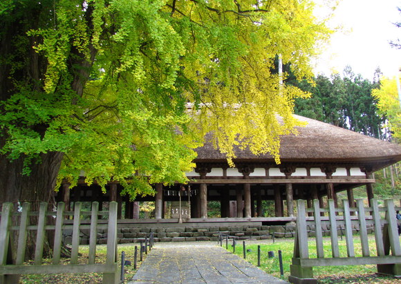 a0223677_2256236.jpg