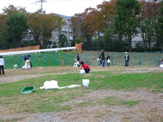 f0230380_1964324.jpg