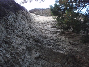 c0018489_0475942.jpg