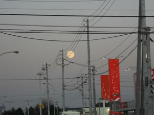 e0148889_8385263.jpg