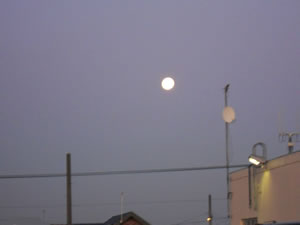 e0148889_8392096.jpg