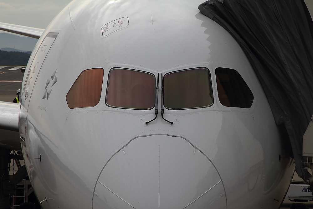 e0204891_15282667.jpg