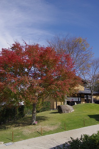 b0119493_20584631.jpg