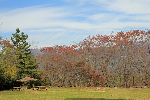 b0151893_1655575.jpg