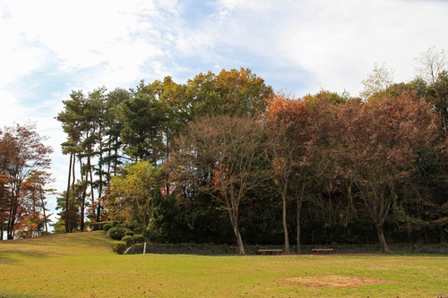 b0151893_16565421.jpg