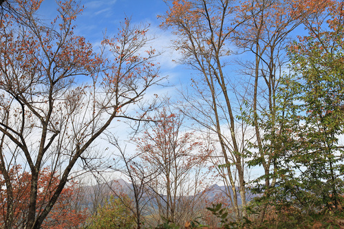 b0151893_177961.jpg