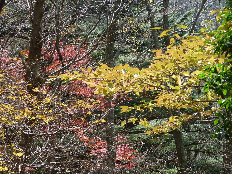 b0177493_223682.jpg