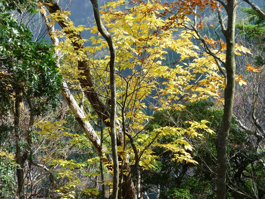 b0177493_2238752.jpg