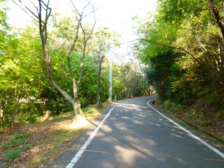 b0180897_033734.jpg