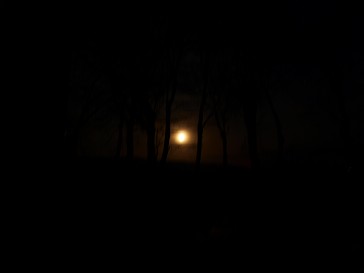 b0110999_6175060.jpg
