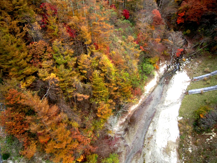 b0192199_21315863.jpg