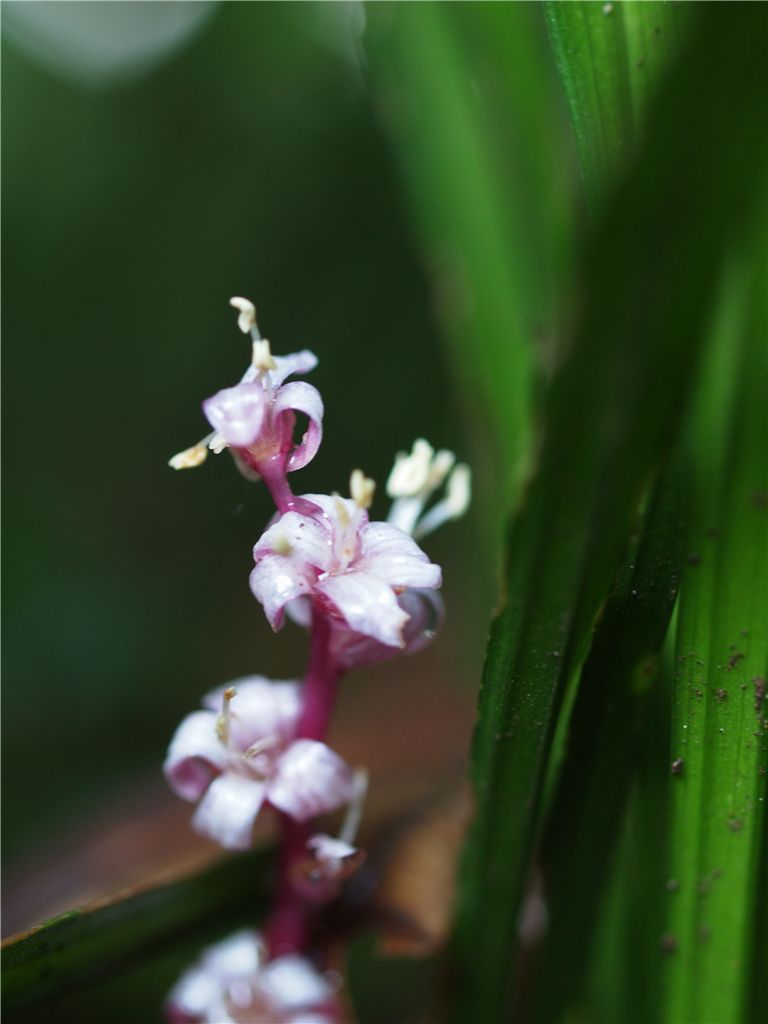 f0224100_23482031.jpg