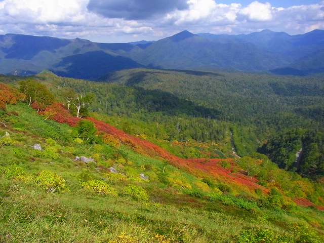 f0157901_23263467.jpg
