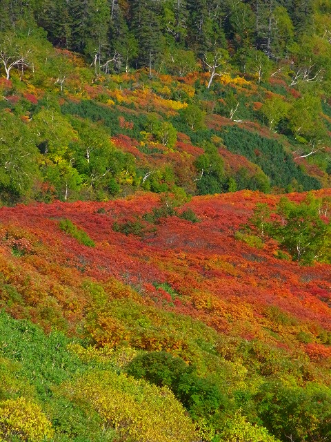 f0157901_23265476.jpg