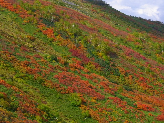 f0157901_23272079.jpg