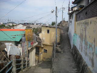 a0101503_22121064.jpg
