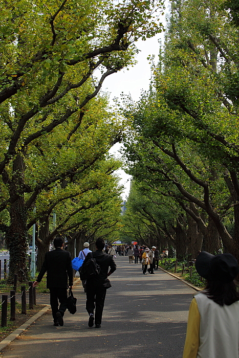e0117503_0112754.jpg