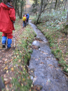 a0201204_1661441.jpg