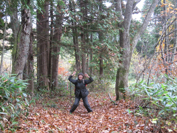 a0201204_166315.jpg